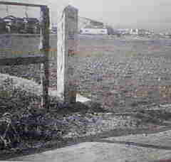 �ꗢ�ːՋL�O��