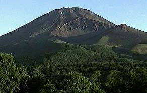 ��i�̕��Ό�