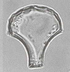 ��̃v�����g�I�p�[��