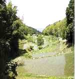 �T���̗����i