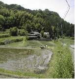 �T���̗��E�c�A����