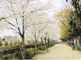 �S�ÁE�Ə��쉈���̍�����