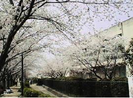 �S�ÁE���󎛏��w�Z��t�߂̍�����