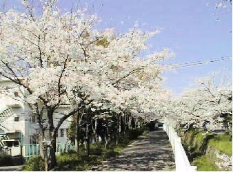 ���̒�h��