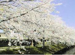 �q�������E�����������ߐs����