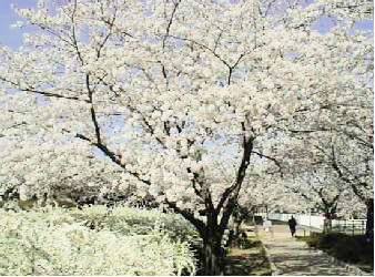 �q�������̍�