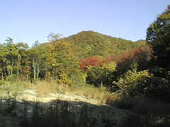 ��ˌÕ��̖ڂ̑O�Ɍ����闳���R