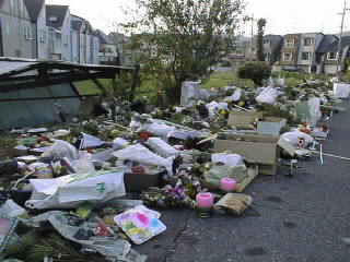 ���c�E��̖ؒn���̐��쑗��i8/16�B�e�j