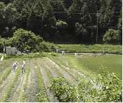 �_��ƂɖZ����