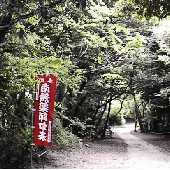 ���q�A���Q��