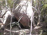 ���q�A�̒j�̐�