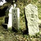 ���������̓�����