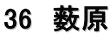 36　薮原