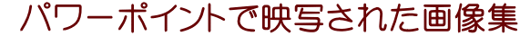  パワーポイントで映写された画像集