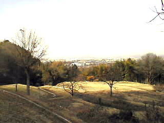 ���̗��������ƁA�g��������������t�Ɏ󂯂��ʐ��E�̂悤�ȕ��i���L�����Č�����