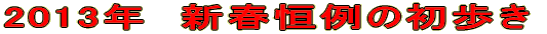 2013�N�@�V�t�P��̏�����
