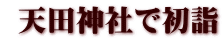  天田神社で初詣