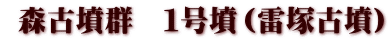  森古墳群　１号墳（雷塚古墳）