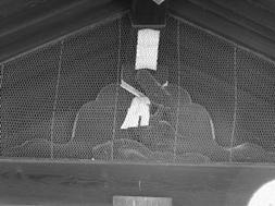 富ҁi������܂��j�Ɍ䕼��������������������ɂ��Ă���