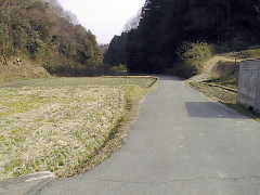 �ޗǂւ̑啧��