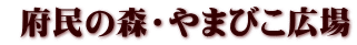  府民の森・やまびこ広場