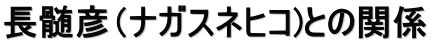 長髄彦（ナガスネヒコ)との関係
