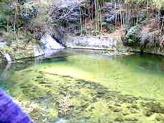 �Ή��̉��̗��܂��A�����͐�O�̎q���B�̊i�D�̐��V�я�ł�����