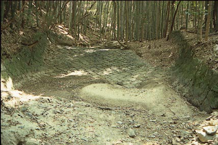 ���Ⴍ������䂩�����߂���