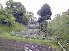 ������Ղ̐ؒʂ�