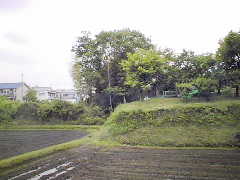 �������k���猩�����A���䂪��Ձi�{�s�j