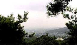 ���т̌������Ɍ��̂܂�����]�����