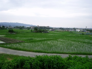 �k�삩�狌���E�����]�ށi��썂�Z�j