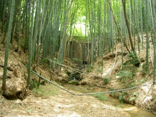 �k��̌����̈�A�Q��X���̖k�̐Ε��̓������̒J��