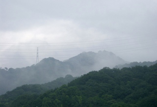 ���ɂ��ނ���A�R