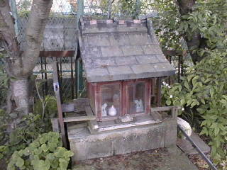 �����_����