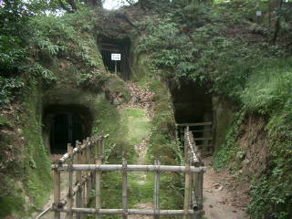 ����c�����Õ��Q