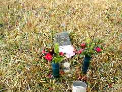 �����̒I�c�̌l�ɍՂ��Ă���n������