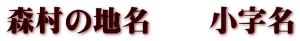 森村の地名　　小字名